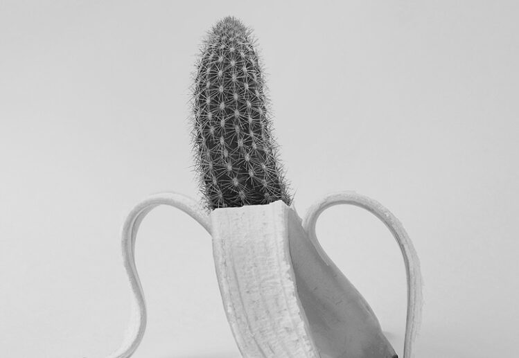 e949e235db200564f8f48bf34bb6799e.jpg Cacto em forma de banana estilizada.
